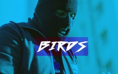 The Birds, MHuncho video (Teeeezy C and Bills/YouTube)