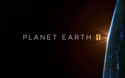 Planet Earth 2 – Cities (BBC1)